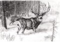 deer pencil drawing